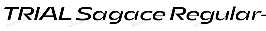 TRIAL Sagace Regular字体转换 TRIAL Sagace Regular字体转换